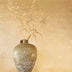 7 Reasons Natural Plaster Walls Are the Future of Interior Design