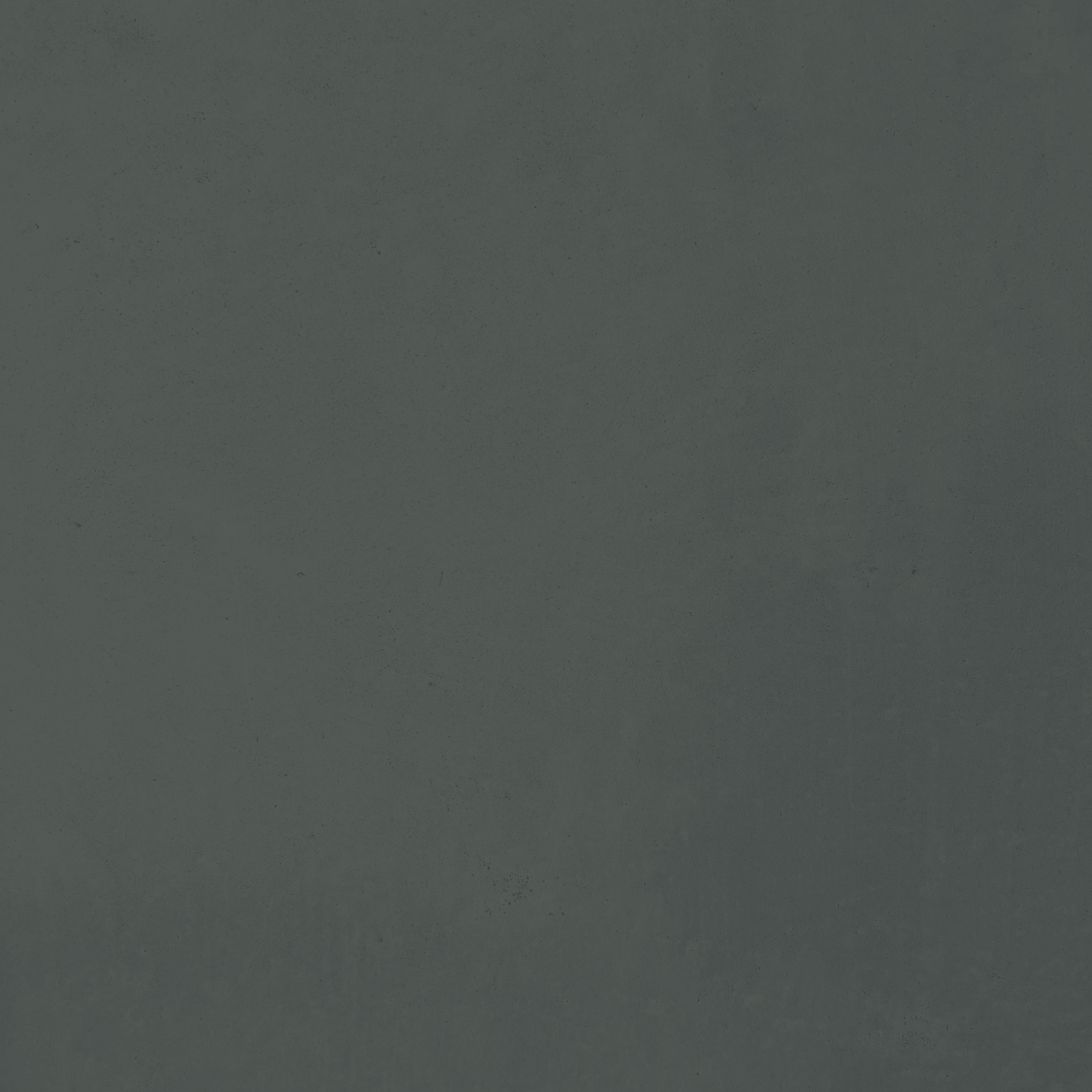 Mas Maya Coating Moss Sample Plaque