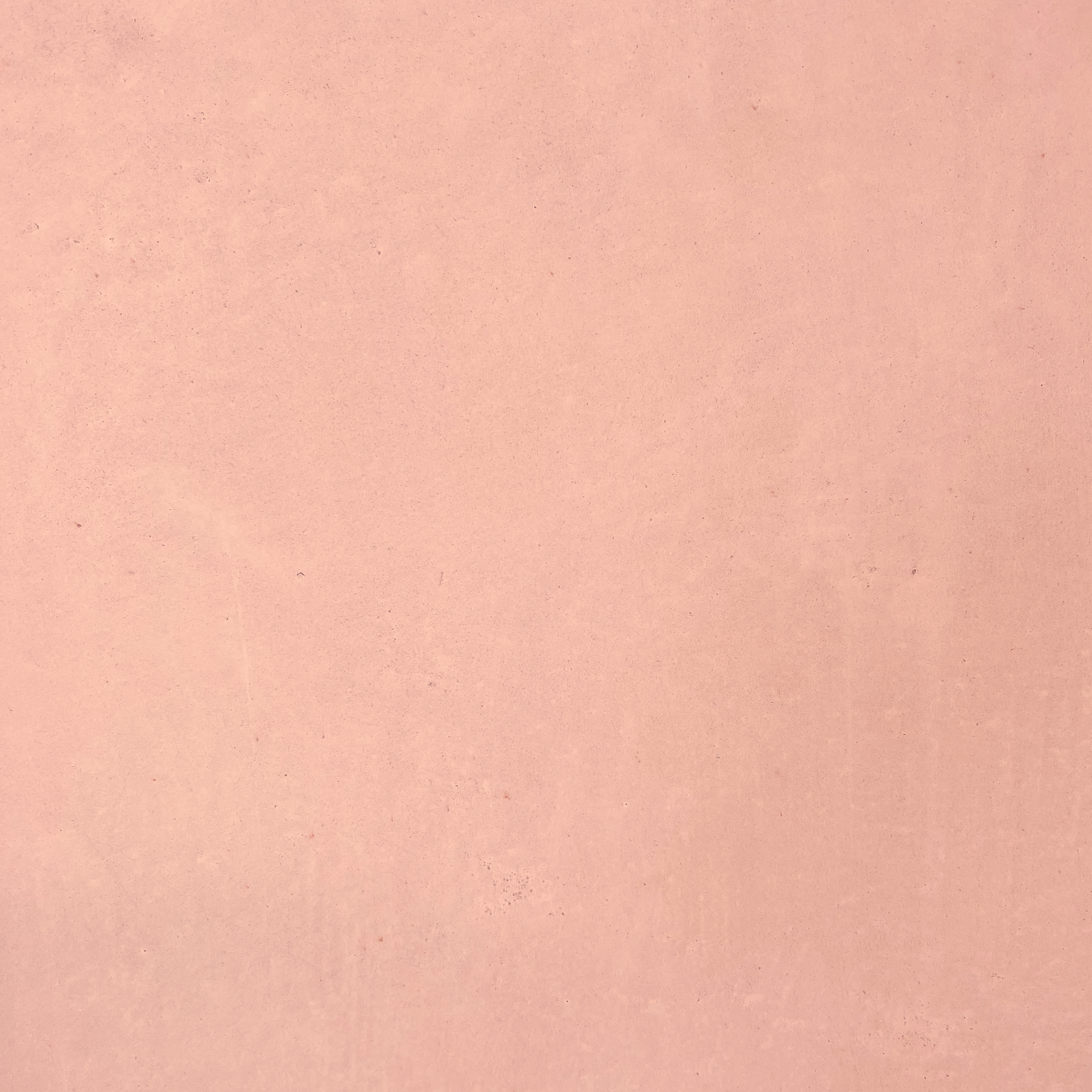 Mas Maya Coating Coral Sample Plaque